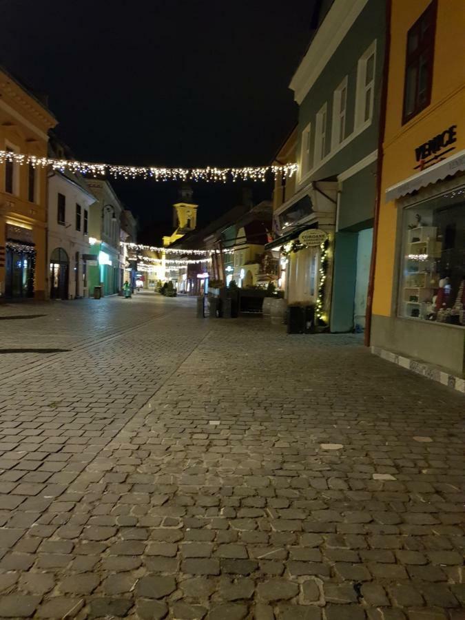 Ferienwohnung Weiss House Brașov Exterior foto