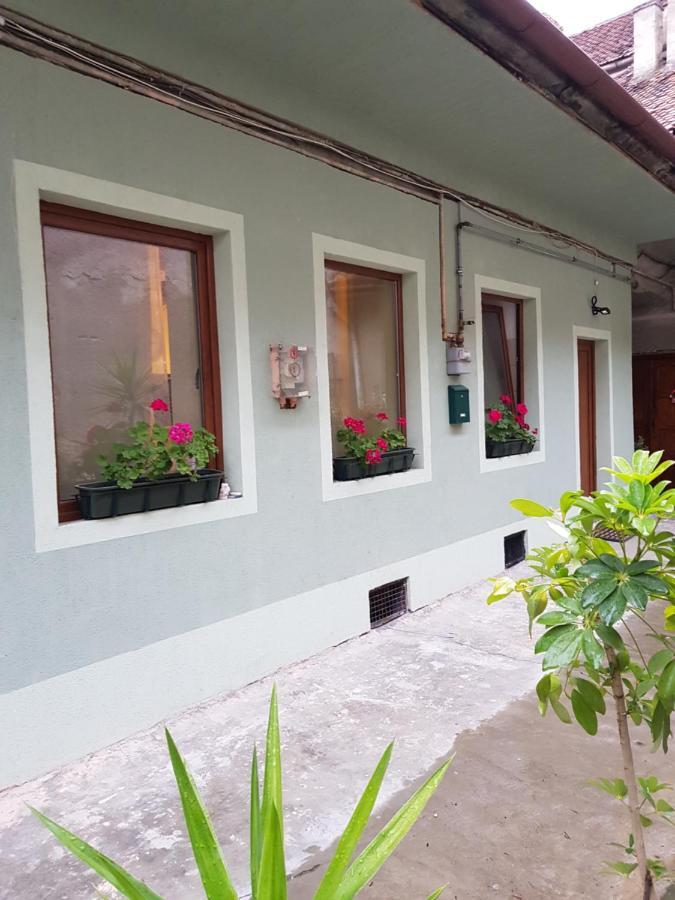 Ferienwohnung Weiss House Brașov Exterior foto